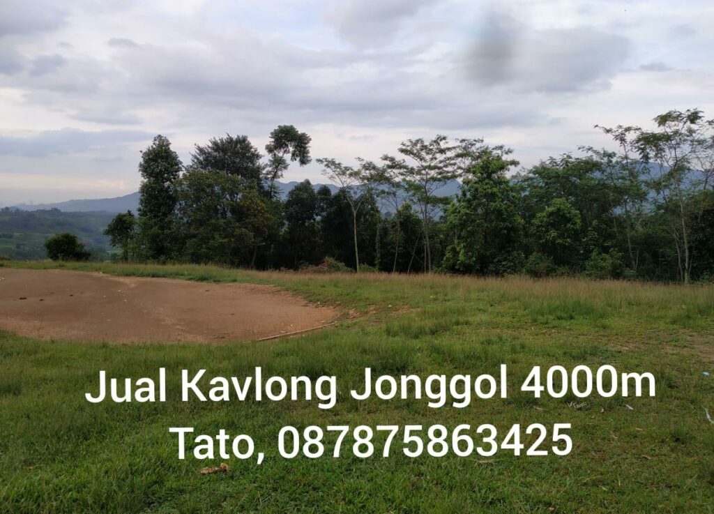 Jual Kavling Kebun Durian Musangkin Jonggol 087875863425